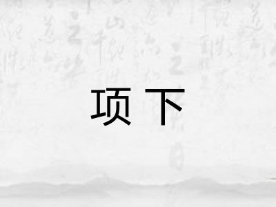 项下 项下