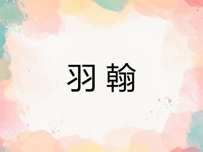 羽翰