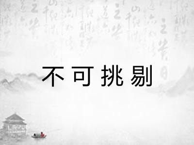 不可挑剔 不可挑剔