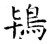 鸨(石经·唐·开成石经)